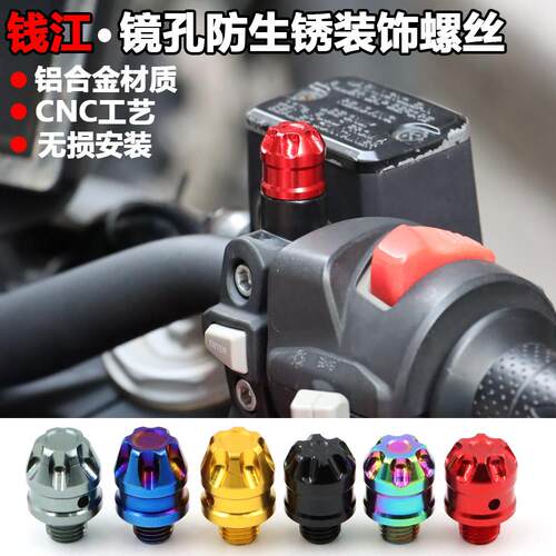 钱江800赛600RS后照镜孔螺丝150闪250 300 450 550追镜座防锈堵块