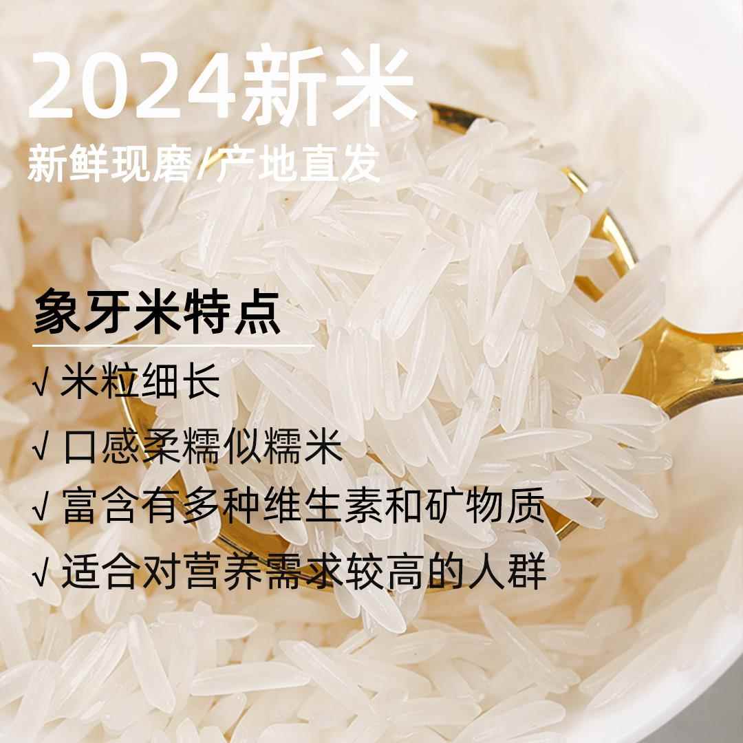 绿宝贡大米丝苗米长粒香米5斤优质生态南方一级细腻软糯当季新米
