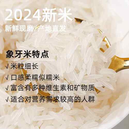 绿宝贡大米丝苗米长粒香米5斤优质生态南方一级细腻软糯当季新米