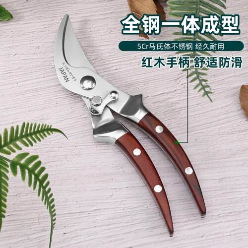 进口全钢红木柄家用修枝剪园艺省力花艺园林果树修剪树枝修花剪刀