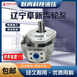 阜新液压高压齿轮泵 E25P ALP E18P E40P E16P E10P CBF E32P
