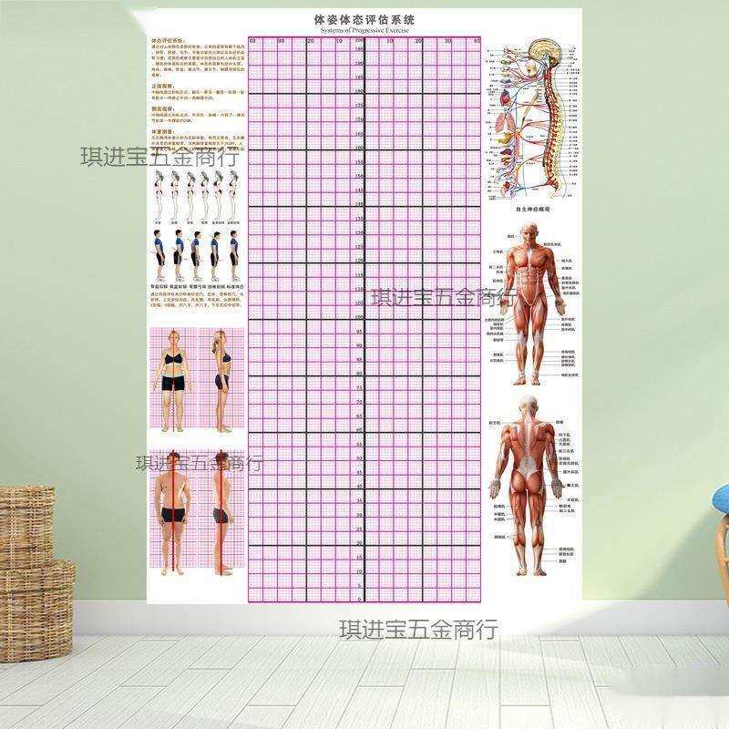 体态评估表体姿纸表格体测体态体姿图系统墙贴纸瑜伽健身房网格馆