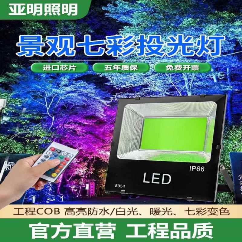 树灯景观灯RGB七彩色照树灯射树灯园林庭院绿化户外防水投光灯