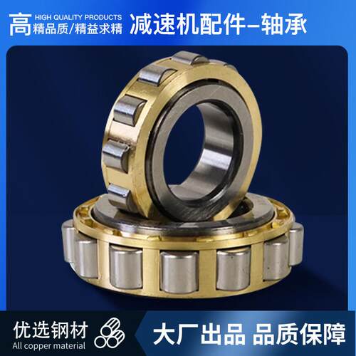 减速机专用轴承偏心轴承配件RN205 206 307 308 309 312 222 219