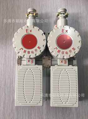 防爆脚踏开关LJT-10A单踏双踏控制开关 LJP-10
