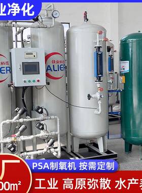 PSA制氧机高原弥散水产养殖冶金助燃分子筛工业氧气发生器