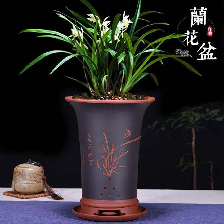 紫砂花盆兰花盆吊兰盆带托盘陶瓷盆紫砂君子兰盆客厅花盆