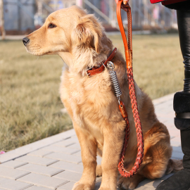 防爆冲宠物牵引绳中大型犬，牛皮编制大狗牵引绳狗绳狗链金毛牵引带