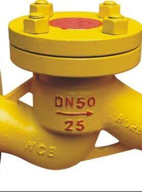 H41N氨用升降式止回阀