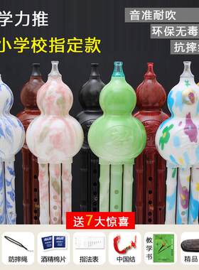 葫芦丝C调B降单音初学者双音防摔树脂乐器，适用于成人、儿童和小