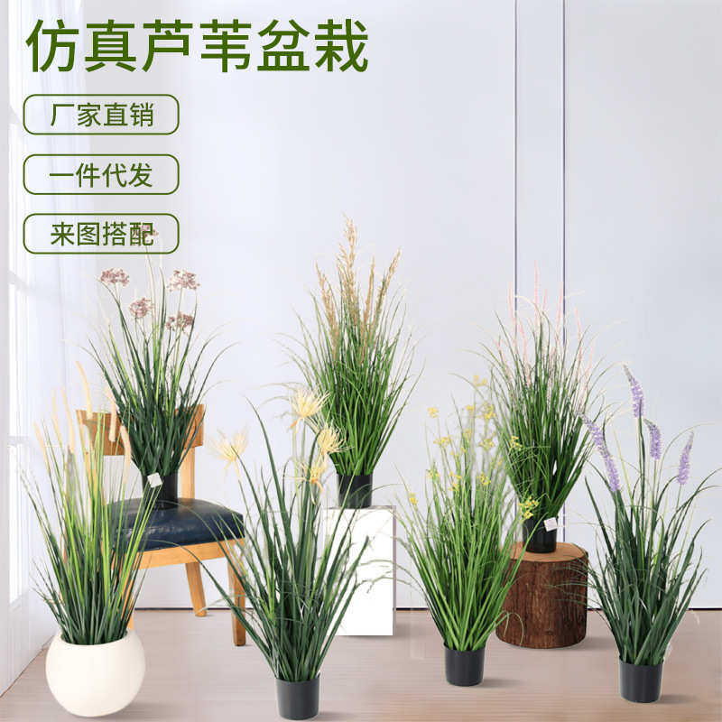 北欧仿真芦苇洋葱草油菜花猫尾巴假绿植盆栽室内客厅落地装饰摆件