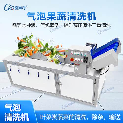 酷琳奇CY-X2250蔬菜清洗机气泡冲浪洗菜机果蔬加工流水线清洗机