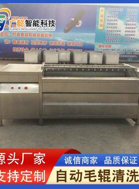 商用胡萝卜土豆清洗去皮机果蔬去杂清洗机去泥毛辊清洗机