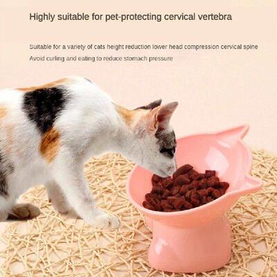 Anti-tip Pet Bowl Cute Bevel Safety Material High Quality
