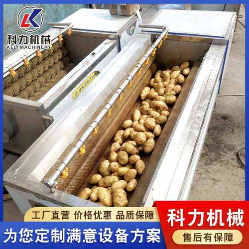 生姜去皮机 土豆脱皮机 东北桔梗自动清洗机器