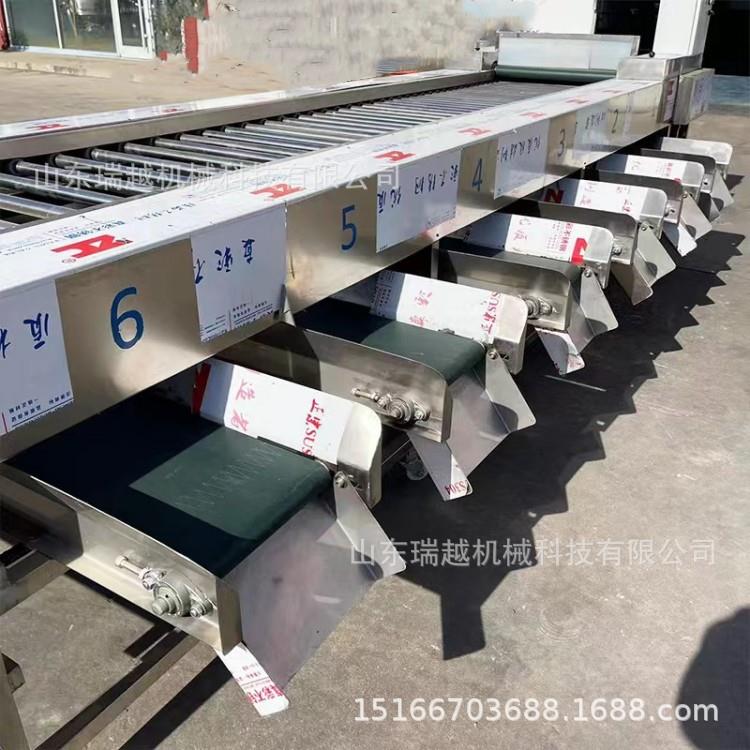 千喜果筛选机商用土豆分选机不锈钢滚杠分级机胡萝卜筛选设备