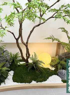 ?绿枫树鸡爪槭茶枯山F88hssp0水盆假树落地景摆件室室内绿植造景
