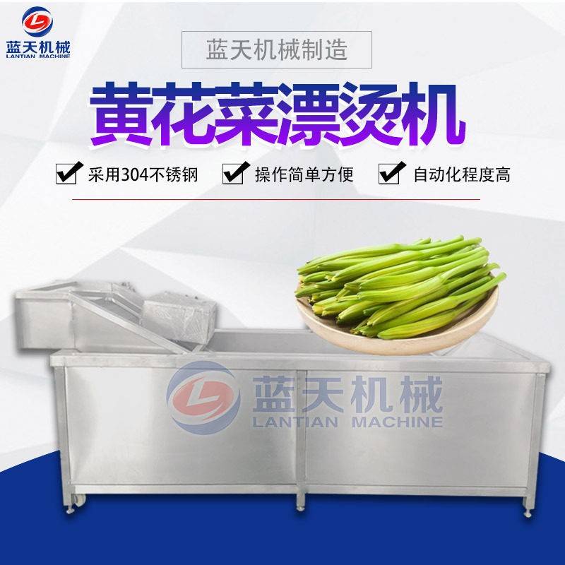 黄花菜杀青漂烫机全自动香椿竹笋蒸煮机连续式蔬菜蒸煮漂烫设备