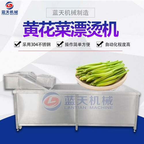 黄花菜杀青漂烫机 全自动香椿竹笋蒸煮机 连续式蔬菜蒸煮漂烫设备
