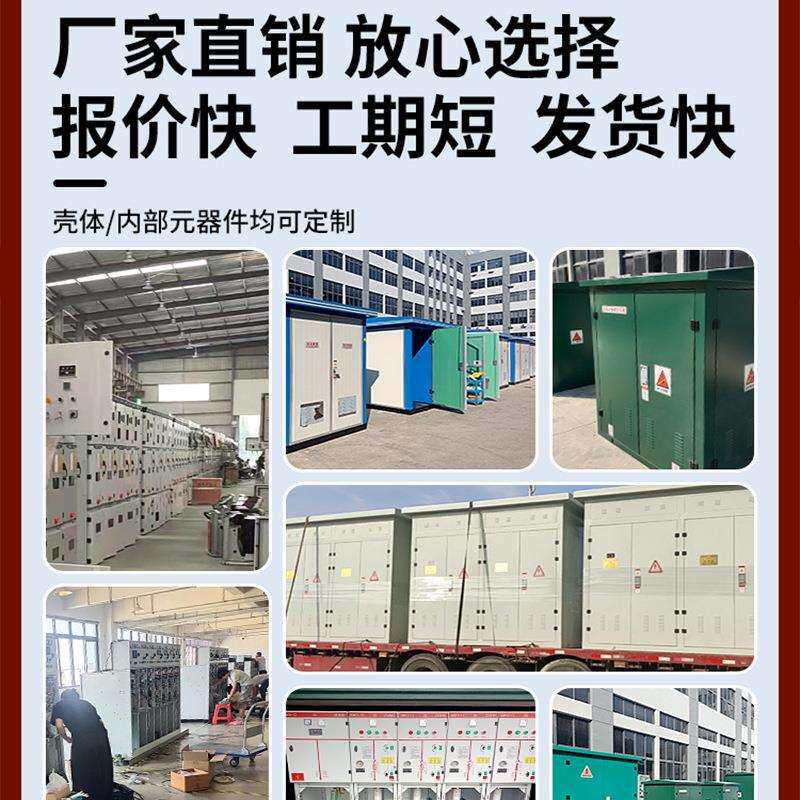 10kv高压电缆分支箱欧式转接分接箱一进二三四出T型不锈钢铜排