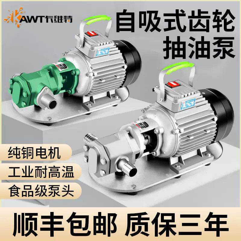 齿轮电动抽油泵220v380v自吸不锈钢粘稠度机油柴油食用油