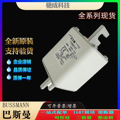 巴斯曼170M5929 170M5930 170M5931 加工制作量大价优 方体熔断器