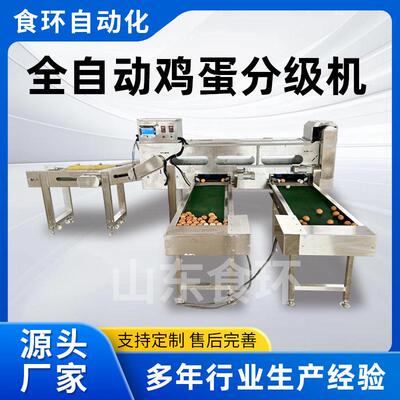 AI禽蛋分选机鸡蛋鸭蛋鹅蛋三用分级机养殖场蛋品初加工分级设备