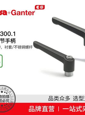 Elesa Ganter伊莉莎冈特 GN 300.1 可调节手柄压铸锌（3）