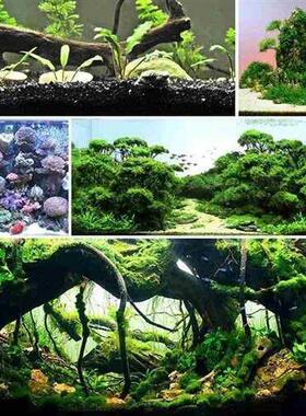 Aquarium fish tank bottom sand landscape decoration sand