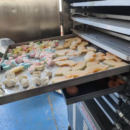 榴莲芒果冻干保持原味果蔬真空锁鲜机全自动小型低温干燥设备厂家