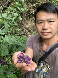 农家深山野挖老柴葛根片葛藤花解酒醒酒养生茶天然