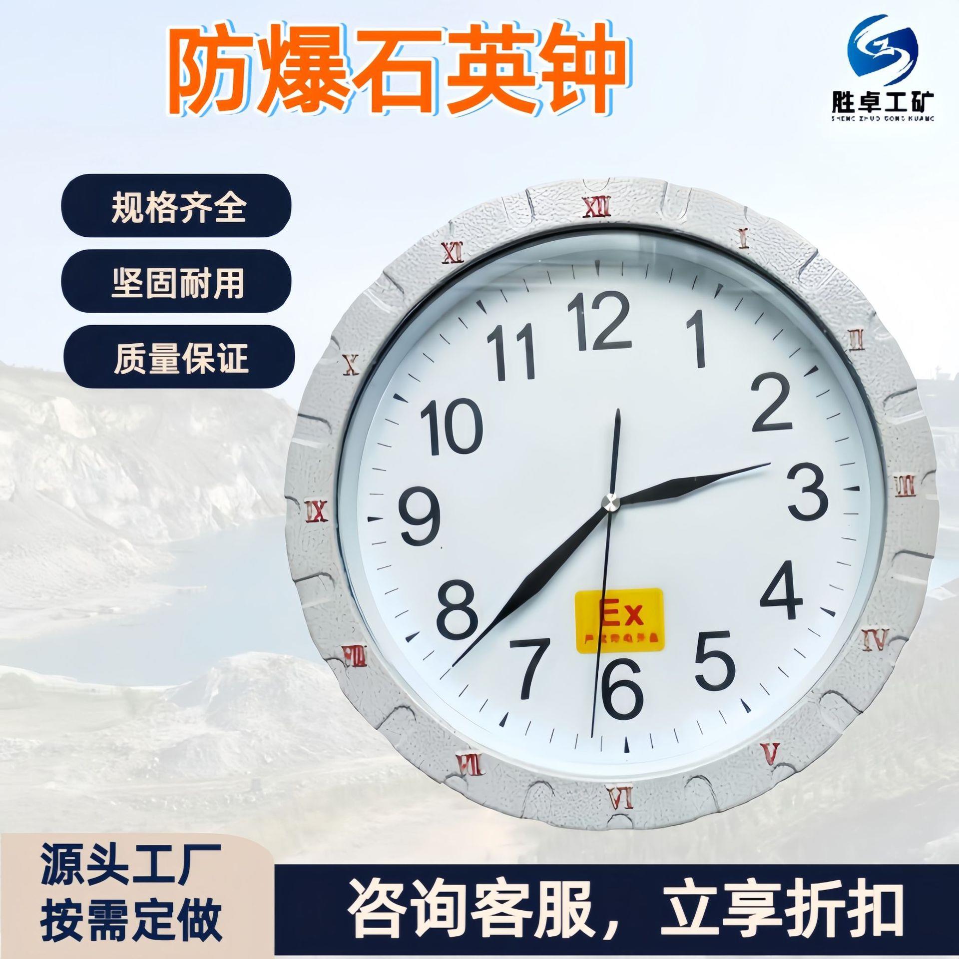 防爆石英钟 壁挂式电子指针钟表 专业防水防腐防爆壁挂式石英钟