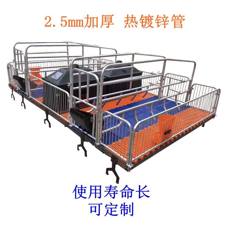量大优惠母猪产床仔猪保育床猪用分娩床塑料漏粪板自动化养猪设备