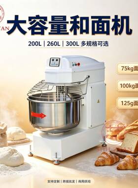跨境双动双速和面机 Spiral Dough Mixer 大容量面包房面团搅拌机