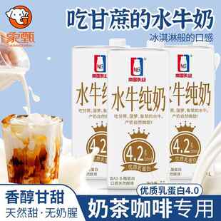 广西南国乳业水牛纯奶乳蛋白4.2 咖啡奶茶通用营养早餐奶液1L商用