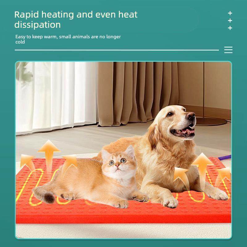 宠物保温板仔猪加热板狗猫兔用加热垫防水防滑小型动物取暖电热板,宠物/宠物食品及用品,宠物电热板/电热毯,淘宝优惠券,粉丝福利购,淘宝优惠卷