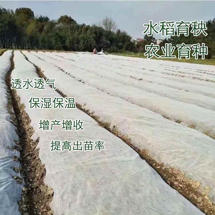 PP无纺布布料白色沙发布枕芯黑色防尘育苗防水秧苗服装设计背景布