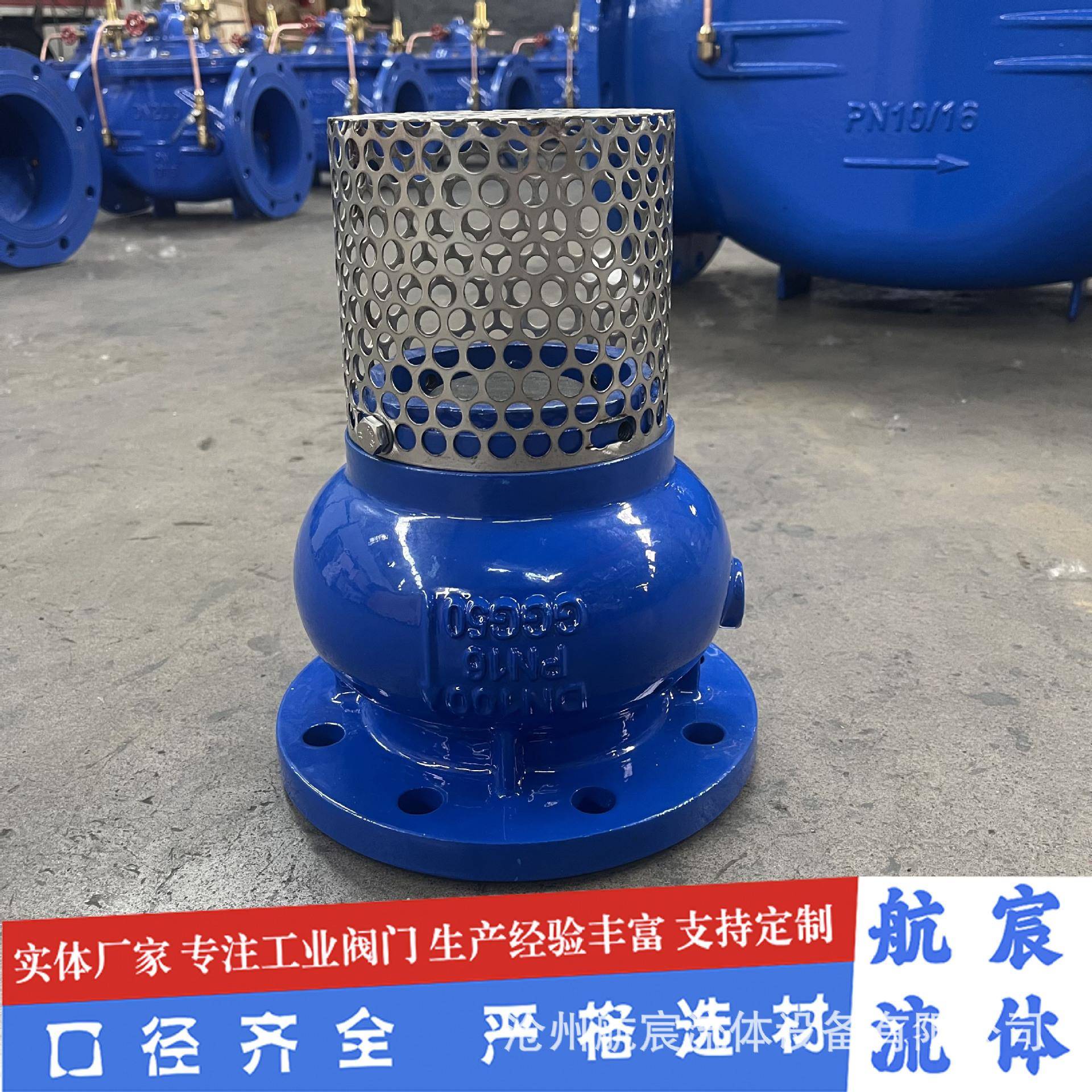 DI德标底阀水泵吸水底阀H42X消声式升降底阀