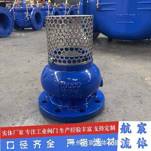 DI德标底阀水泵吸水底阀H42X消声式升降底阀
