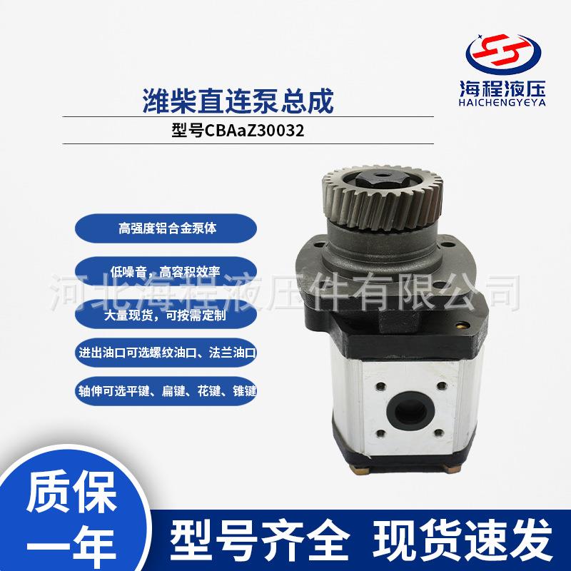 康弘骏玛道潍柴直连泵总成WP6配套1006411513型号CBAaZ30032