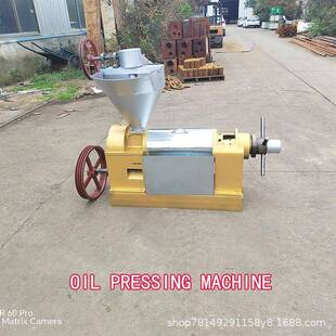 商用螺旋榨油机Oil pressing machine大豆茶籽核桃棕榈果榨油机