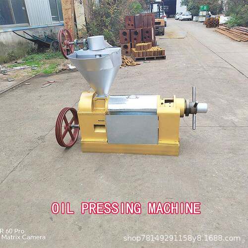 商用螺旋榨油机Oil pressing machine大豆茶籽核桃棕榈果榨油机
