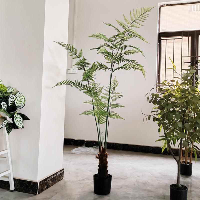 仿真绿植植大型桫高端室内物假树造景葵猴头YH-23-43马耳蕨猴头蕨