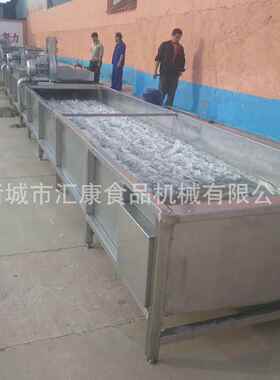 水浴式鲜椒自辣FEQ动清洗蔬水线果气泡清洗机汇康设备行流销各地