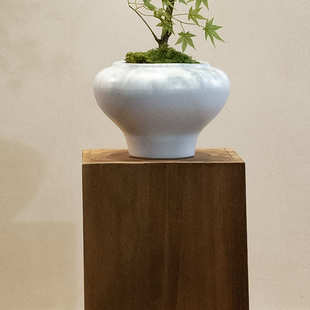 流泉枫绿植假花古风新中式茶室装饰禅意玄关摆件小型盆景仿真园艺