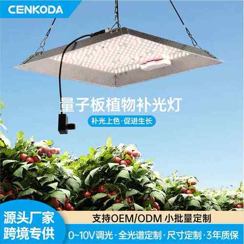 跨境LED植物生长灯 Grow light 100W可调光植物补光灯
