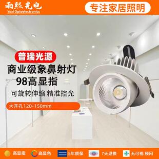 C0B象鼻灯嵌入式射灯嵌入式天花灯筒灯象鼻灯服装店开孔120