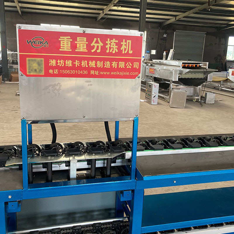 释迦果分拣机 动态称重选果机 贝贝南瓜分选机无损分级机水果处理