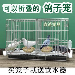 鴿子籠養鴿子專用籠養殖籠家用繁殖籠配對籠大號新型鴿舍鴿子籠子