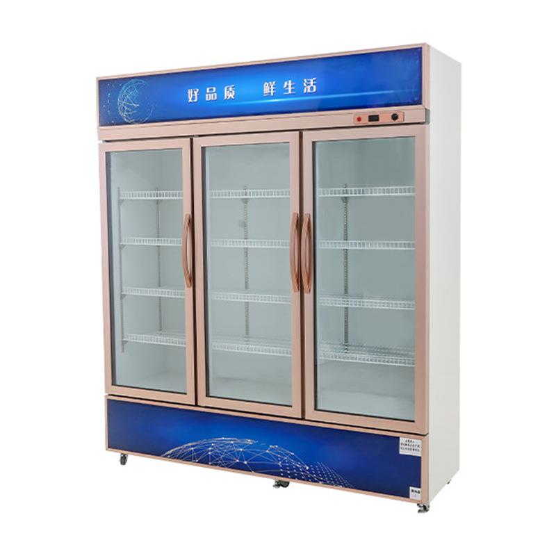 冷藏柜展示柜保鲜柜立式双门铜管商用饮料冷饮蔬菜水果柜冰柜